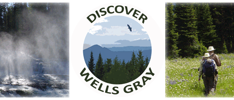 Single Category Archive | discover wells gray