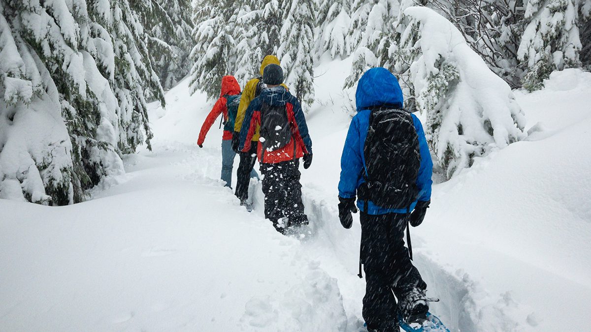 Snowshoe group on trail