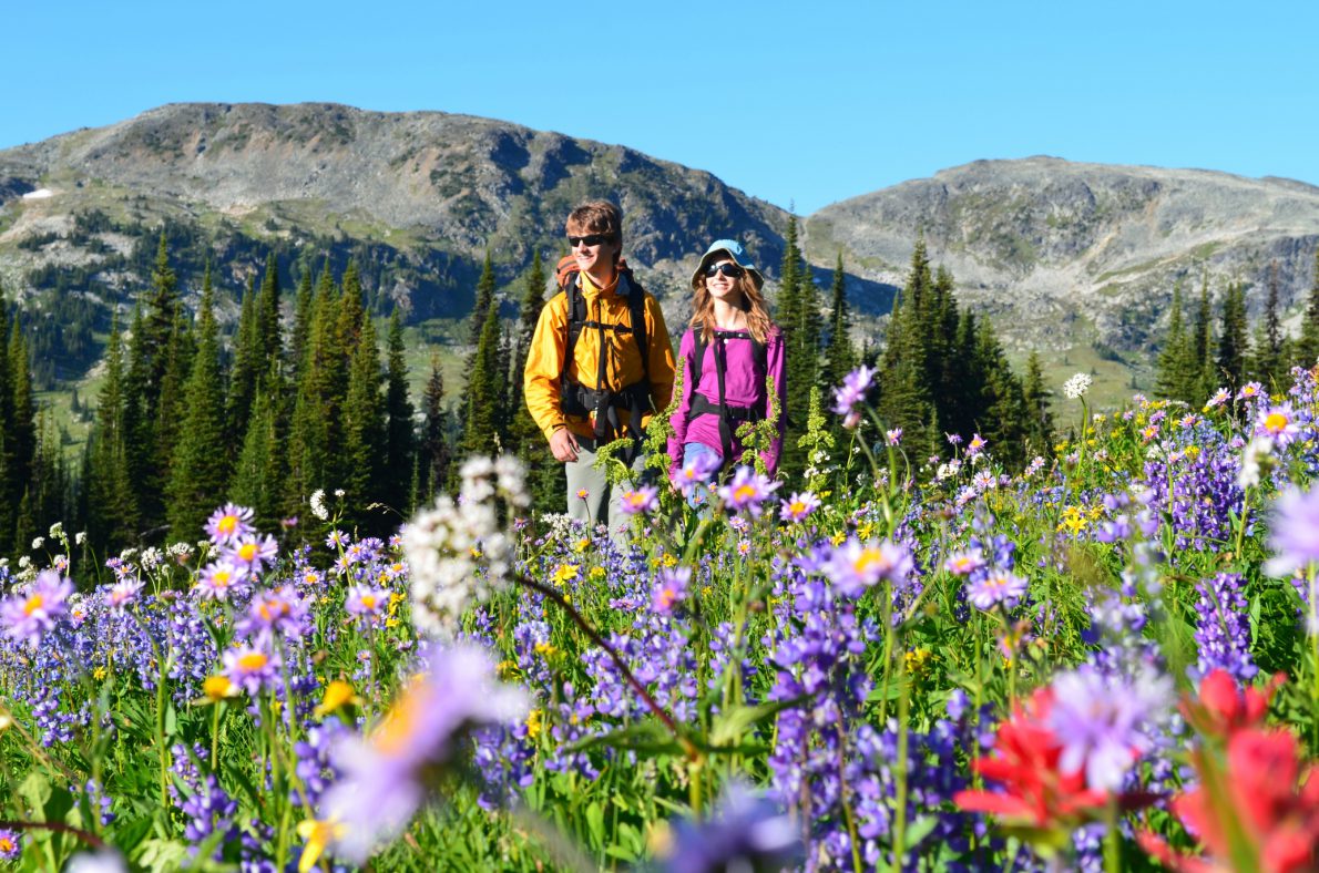 Trophy Mountain - hiking, wildflowers