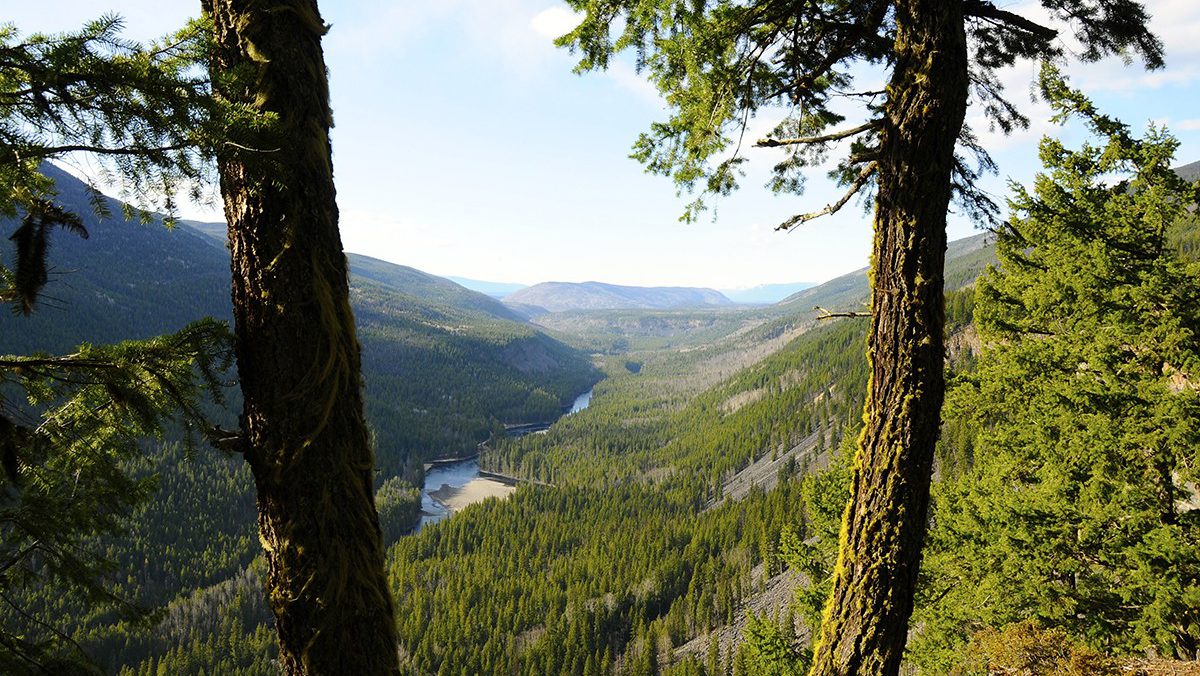 Viewpoint Wells Gray