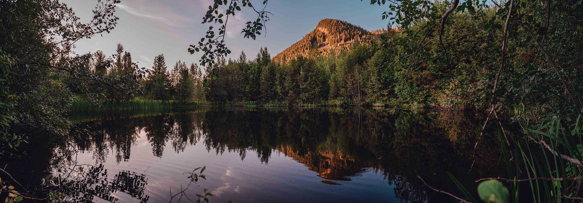 Iconic Wells Gray Park Wells Gray