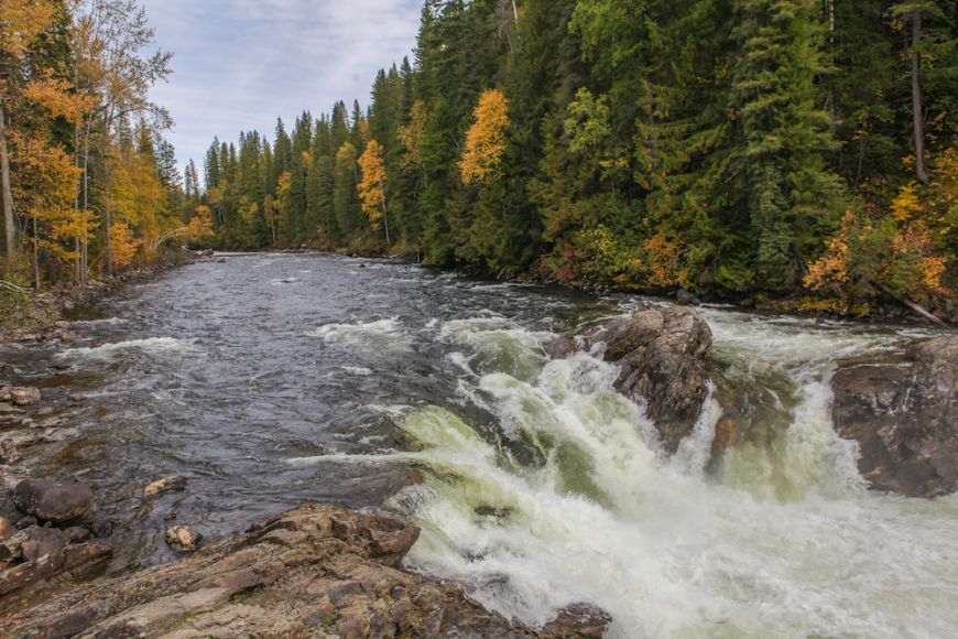 How to Enjoy the Fall Colours in Wells Gray | mushbowl fall