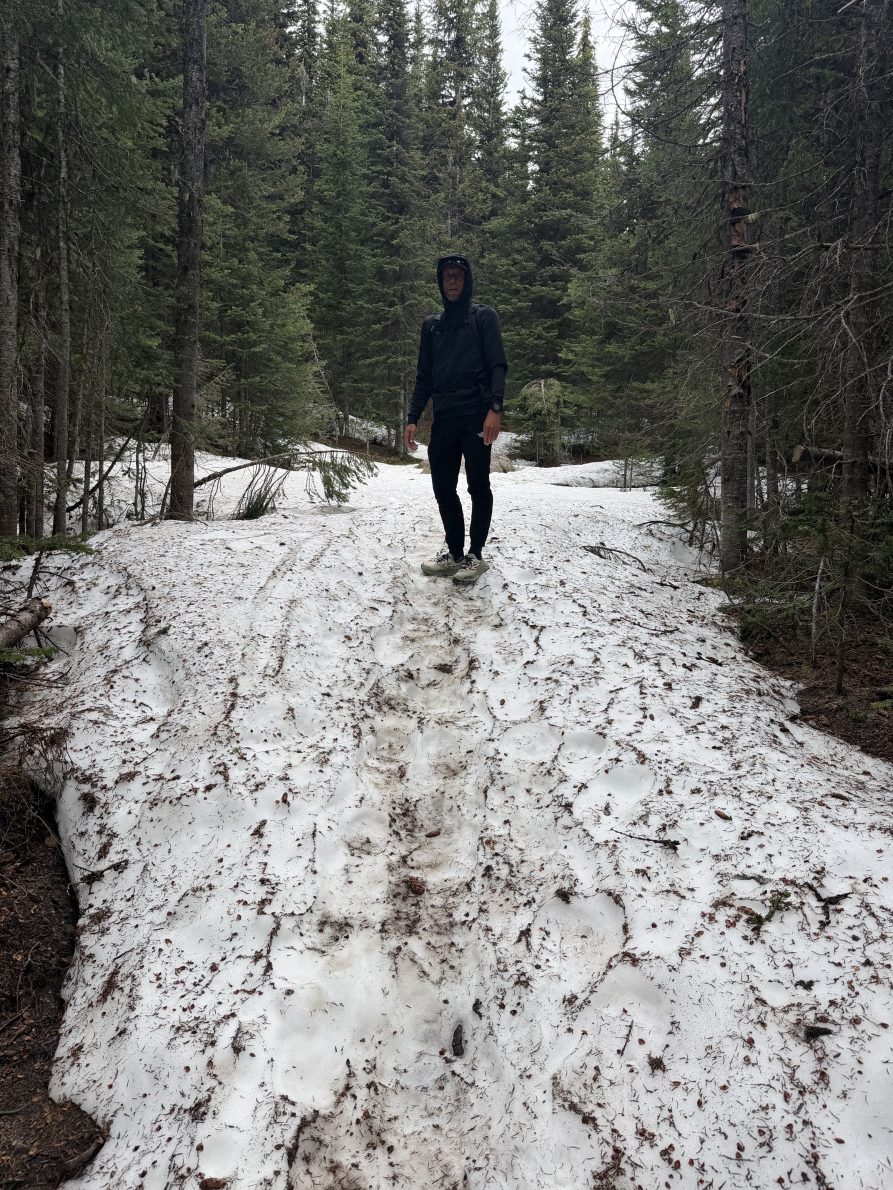 Trophy Mountain Meadows Wildflower & Trail Conditions Update (June 2026) | IMG 3255