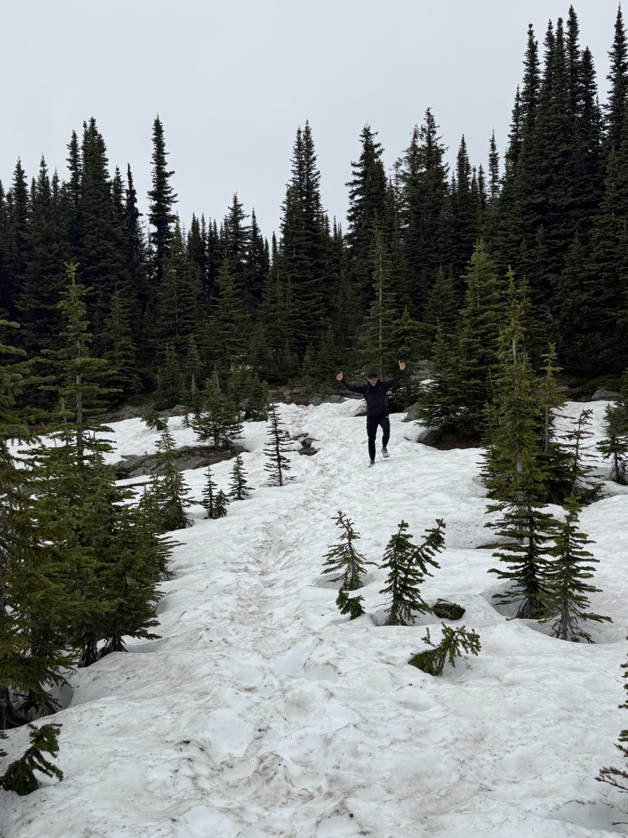 Trophy Mountain Meadows Wildflower & Trail Conditions Update (June 2026) | IMG 3271