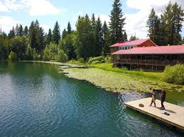 Single Category Archive | download